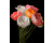 Картина за номерами Strateg Весняний букет на чорному фоні 40Х50 см AH1251
