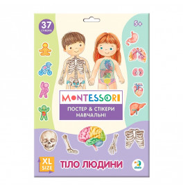 Учебный постер Dodo Тело человека XL с наклейками 300901