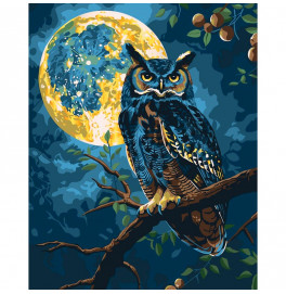 Картина по номерам Art Craft "Хранитель звездного света" с м. красками 40x50 см 11722-AC
