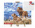 Картина за номерами Леви 40x50 см KpNe-40х50-02-07