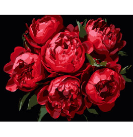 Картина по номерам Stateg Яркие пионы на черном фоне 40х50 см AH1215-11