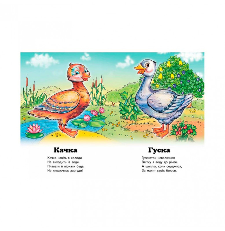 Детская книга 9789669133472_Cockerel, Хто це?