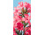 Картина за номерами "Pink flowers" ArtCraft 40*80 см 13100-AC