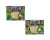 Набір проведення розкопок Danko Toys "BUGS EXCAVATION" жуки BEX-01-05U,06U