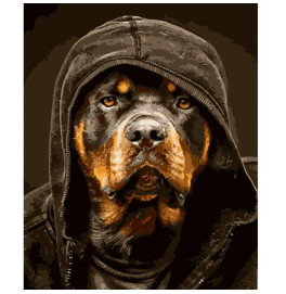 Картина по номерам Stateg Ротвеллер в капюшоне 40х50 см HH038 Картина по номерам Stateg Ротвеллер в капюшоне 40х50 см HH038