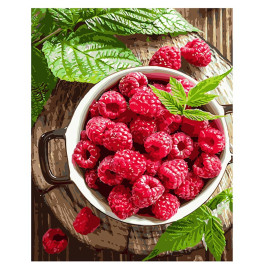 Картина по номерам Stateg "Малина" 40х50 см VA-1117 Картина по номерам Stateg "Малина" 40х50 см VA-1117