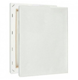 Полотно на подрамнике 20*40 см 16005