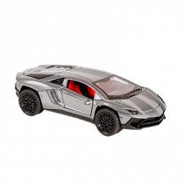 Машинка спортивная SCALE MODEL металлическая 3651A_Gray Машинка спортивная SCALE MODEL металлическая 3651A_Gray