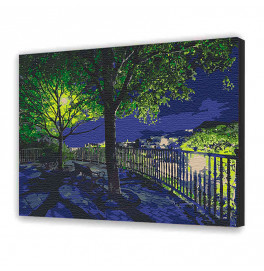 Картина за номерами "Нічний парк" 40*50 см* 10585-AC