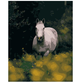 Картина по номерам Stateg Лошадь среди цветов 40х50 см DY105