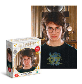 200576 Пазл Hard-M «Harry Potter. Портрет Гаррі» 200576