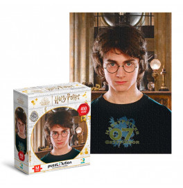 Пазл DoDo Hard-M Harry Potter. Портрет Гарри» 450 элементов 200576