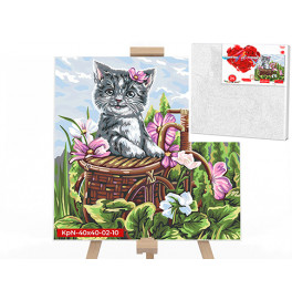 Картина по номерам котенка в корзине 40x40 см KpNe-40х40-02-10