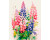 Картина за номерами ArtCraft "Кольорові люпини" 40*50 см 13079-AC