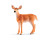 Фігурка Schleich Wild Life Білохвоста олениха 14819
