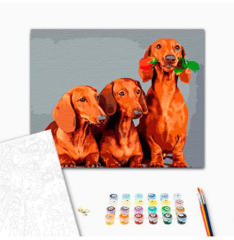 Картина по номерам Тройка такс Strateg 40х50 см