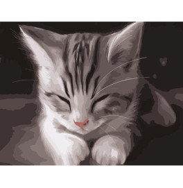 Картина по номерам Stateg Сонный котенок 40х50 см DY191 Картина по номерам Stateg Сонный котенок 40х50 см DY191