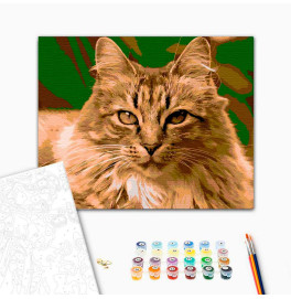 Картина по номерам Гордая кишка Strateg 40х50 см DY186