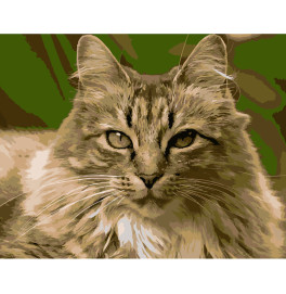 Картина по номерам Гордая кишка Strateg 40х50 см DY186