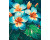 Картина за номерами ArtCraft "Плюмерії" 40*50 см 13147-AC