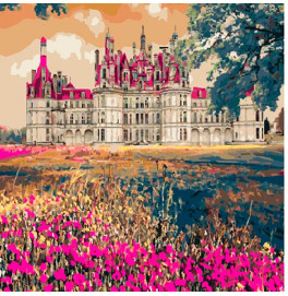 Картина по Номерам 40*50