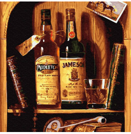 Картина по Номерам 40*50