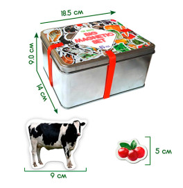 Magnetic set 110 ML4031-63 EN