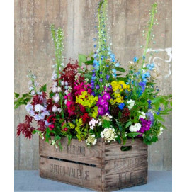 Букет в кашпо (LC40059)